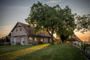 Гостиница Winzarei, Weingut Tement  Бергхаузен 